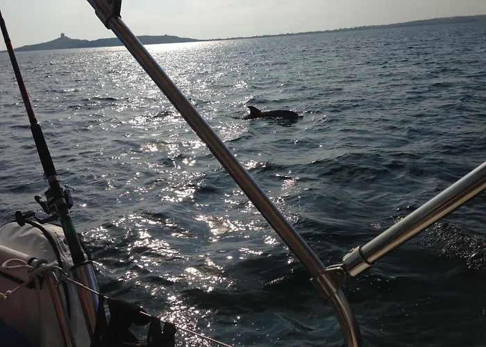 Boat & Sailing Torregrande Sinis Yachting